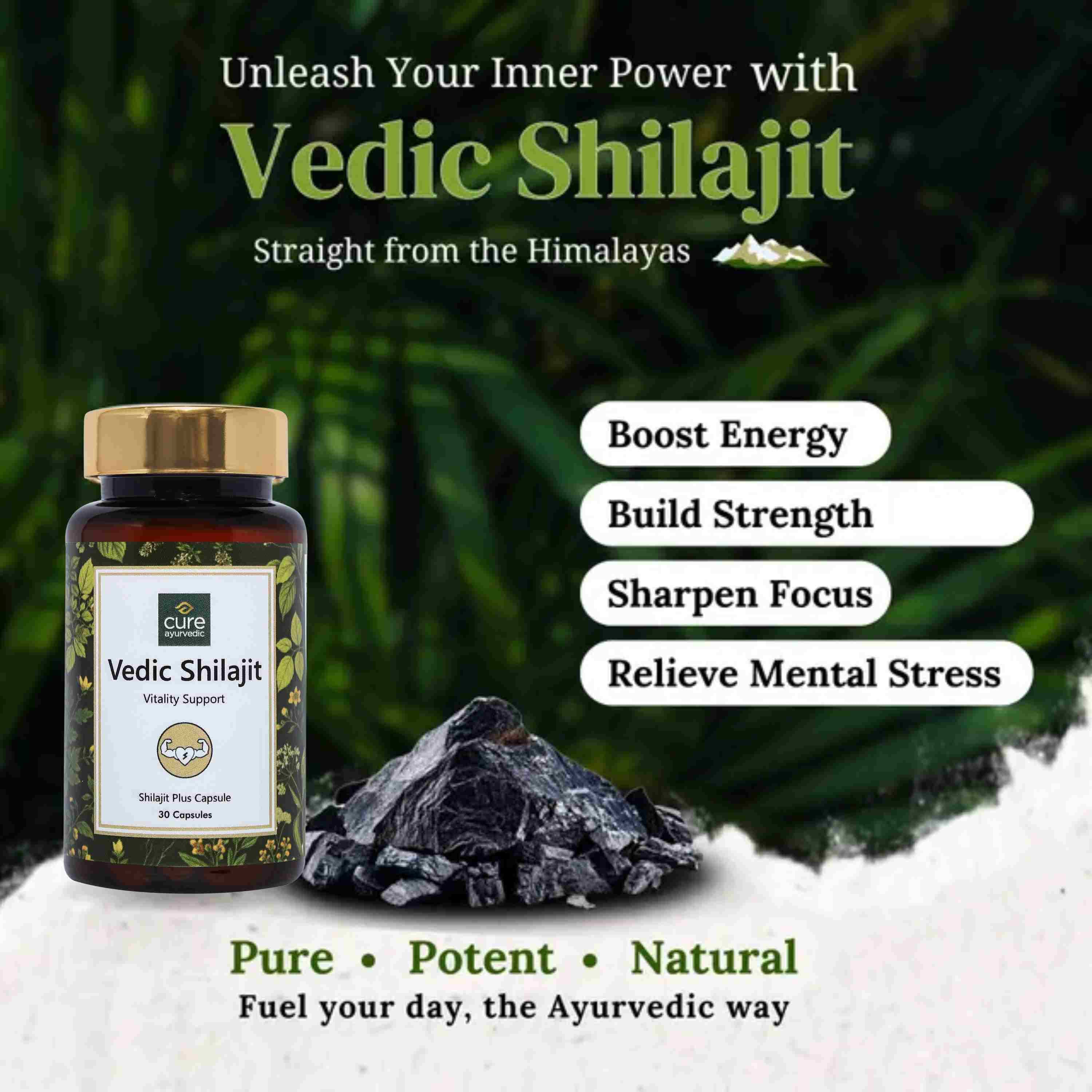 Vedic Shilajit