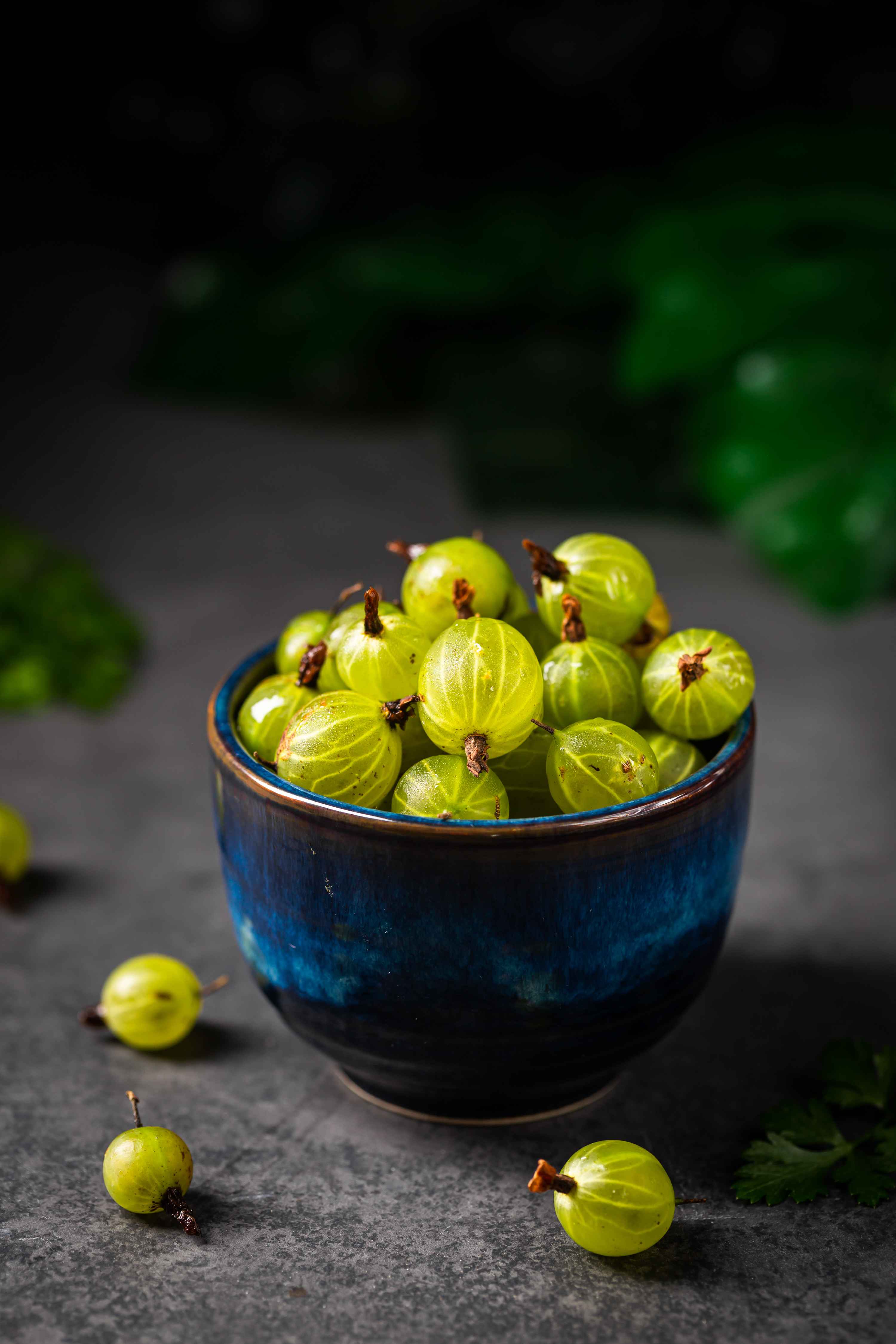 Amla Pericarp Extract